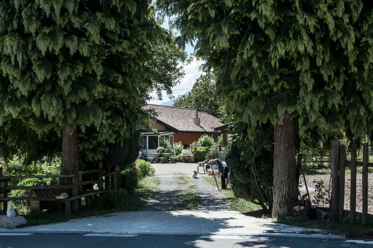 La Locanda Degli Elfi Viggianello Eksteriør billede